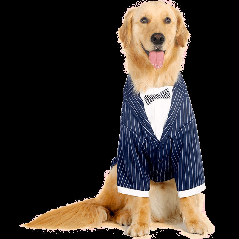 Elegant Dog Wedding Celebration Suit for Samoyed Labrador Border Collie Golden Retriever Large Dogs Wedding Party Outfit