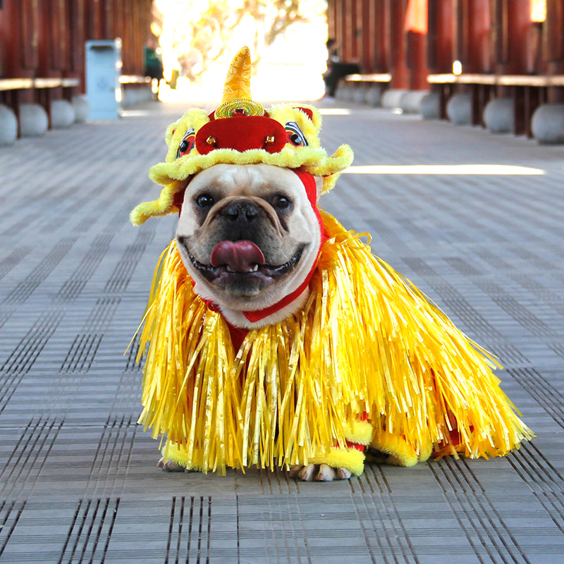 Festive Lion Dance Pet Costume for Chinese New Year Dog Cat Clothing China Style Lion Dance Outfit