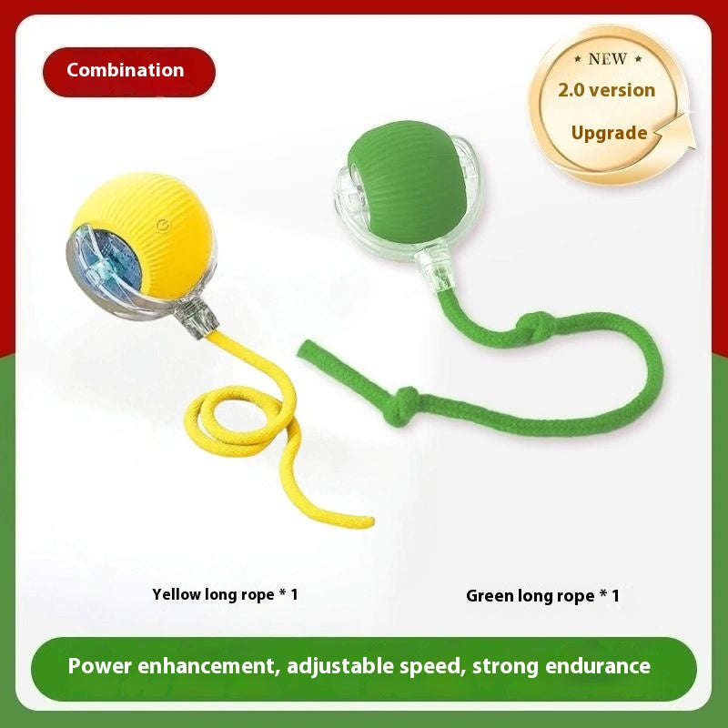 Interactive Dog Toys that Keep Your Canine Entertained for Hours, Auto Walking and Chewing Resistance