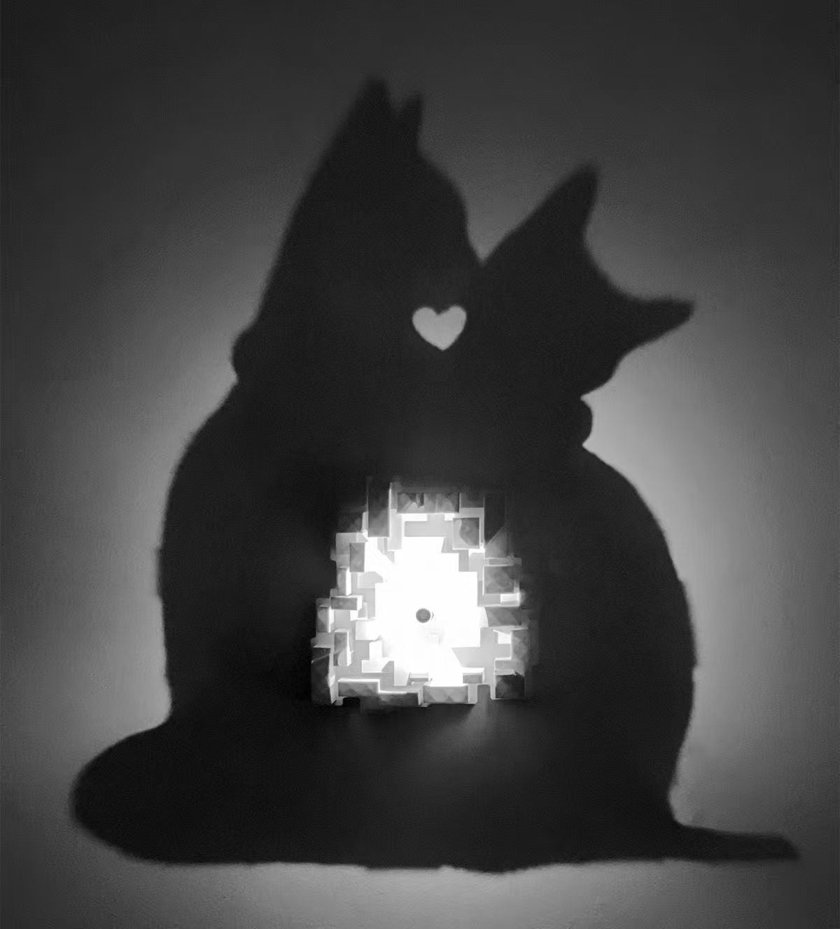 Custom Silhouette Shadow Night Light - Personalized Photo Projection Lamp